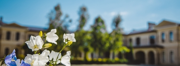 Цветник у дома