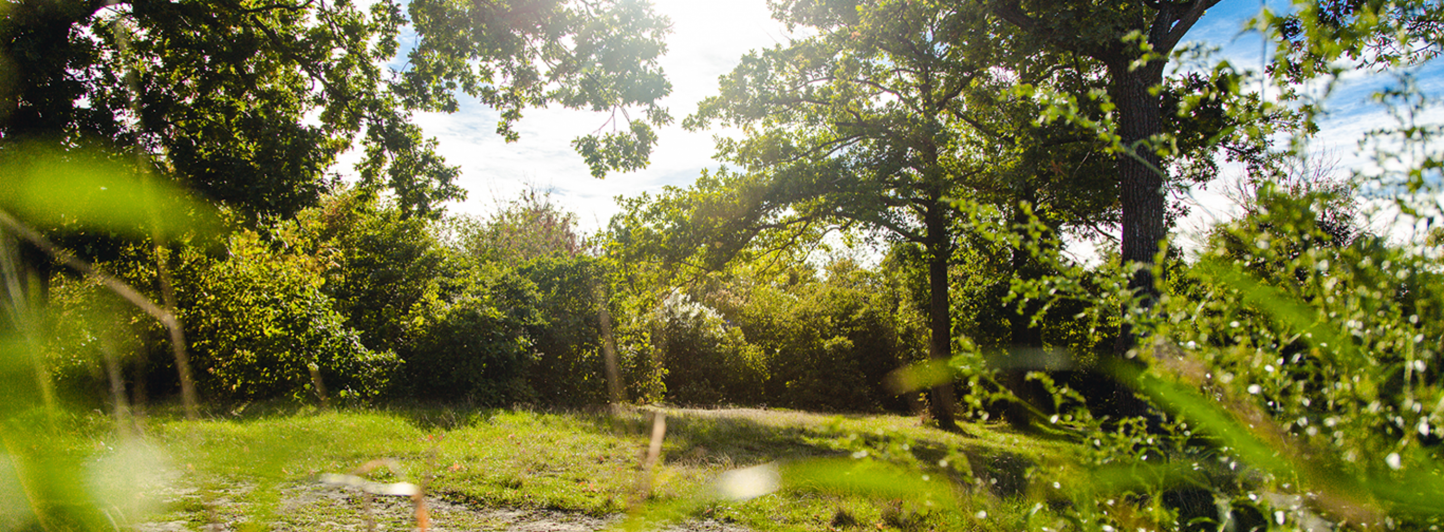 Парк с местами для отдыха на территории