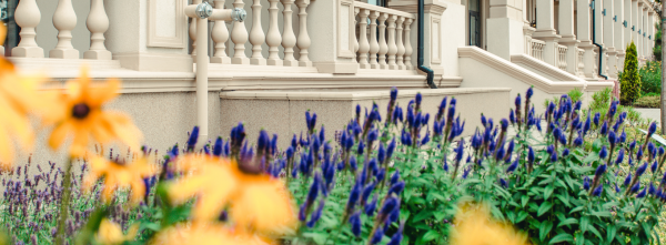 Комплексное озеленение территории